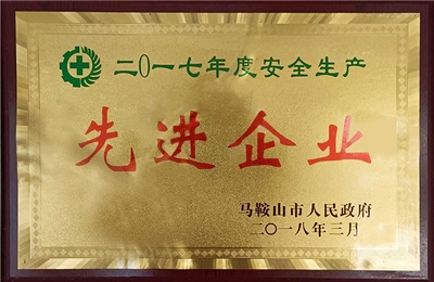 2017年度荣获安全生产先进企业 