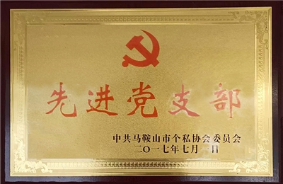 2017年荣获先进党支部 